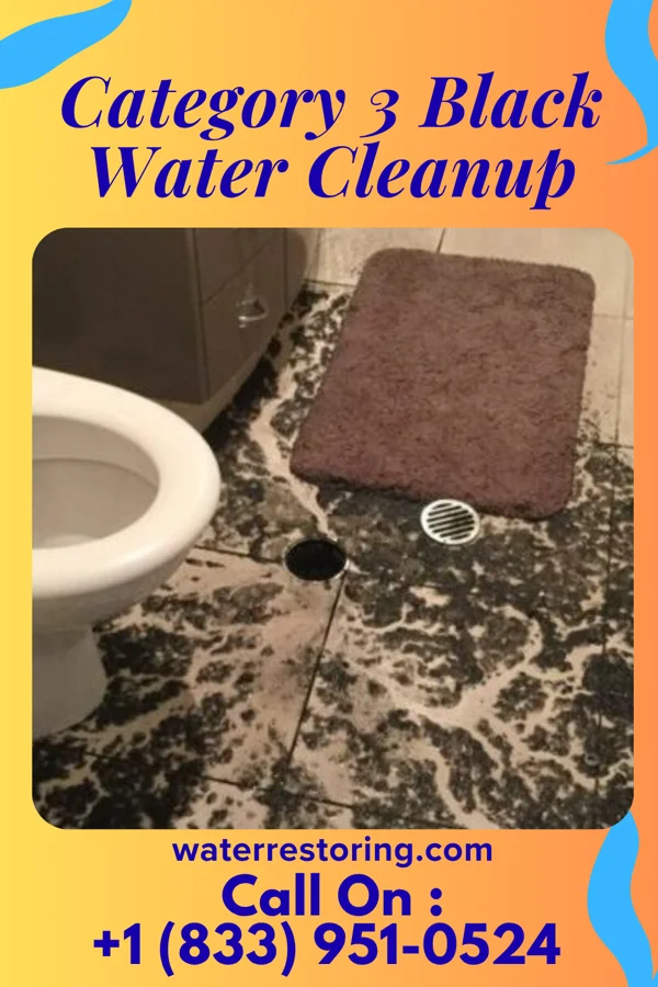 Category 3 Black Water Cleanup in Harvey, ND